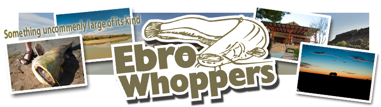 Ebrowhoppers